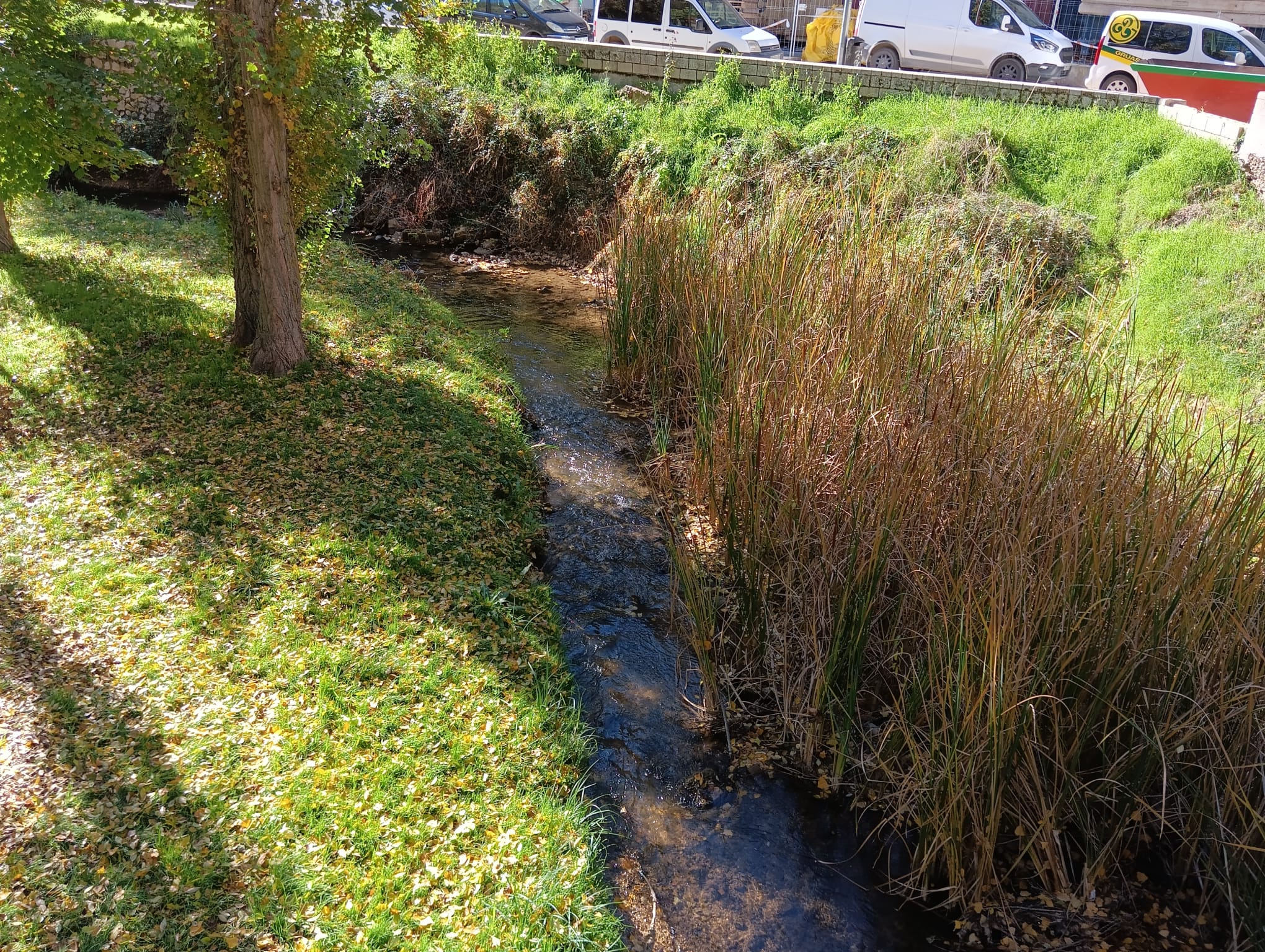 Río Bañuelos a su paso por el casco urbano de Aranda de Duero