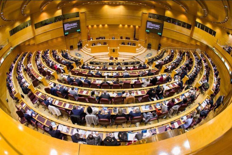 Hemiciclo nuevo del Senado durante un Pleno