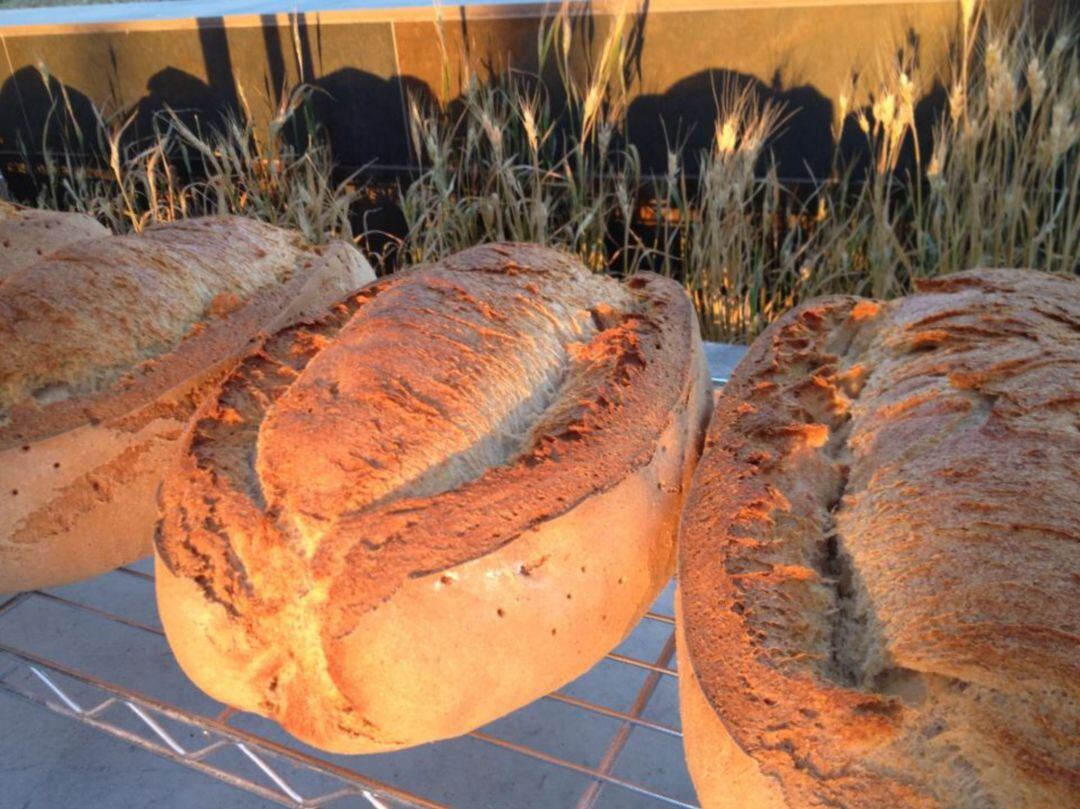 Pan de Artesa en Arcos