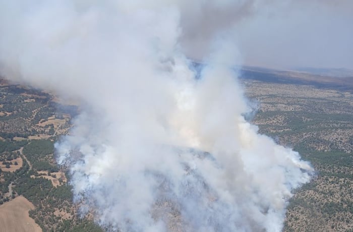 Incendio en Corbalán (Teruel)