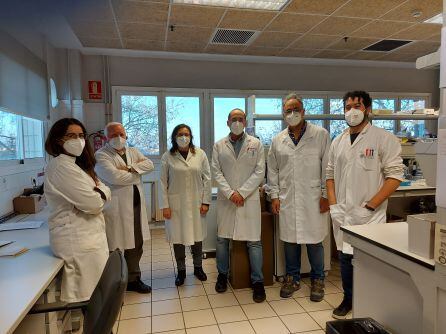 Equipo del IDM de la Universitat Politècnica de València