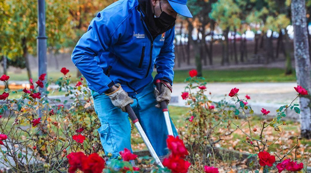 El mantenimiento de los parques y jardines de Colmenar Viejo contarán con un 80% más de presupuesto 