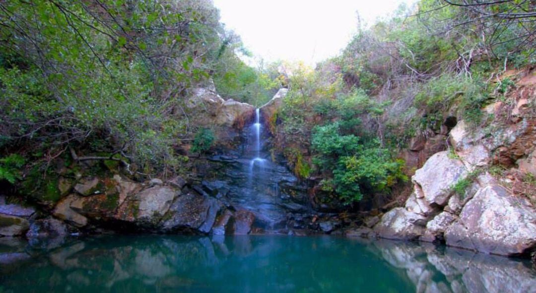 Parque Natural de Los Alcornocales