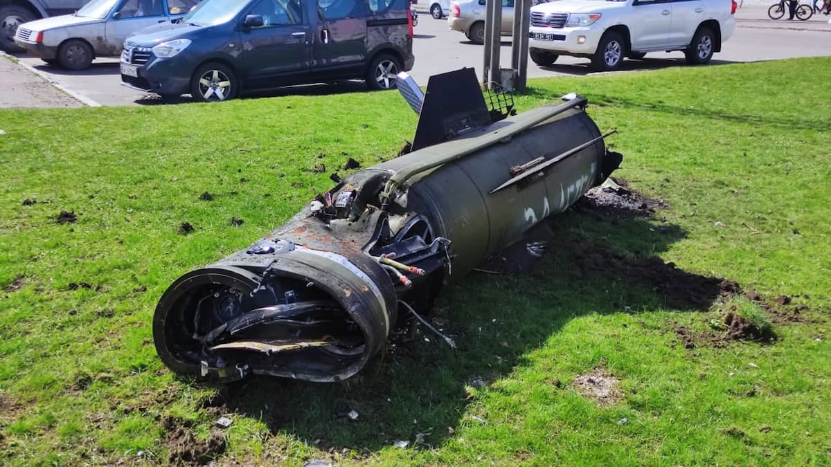 La ley de la brutalidad