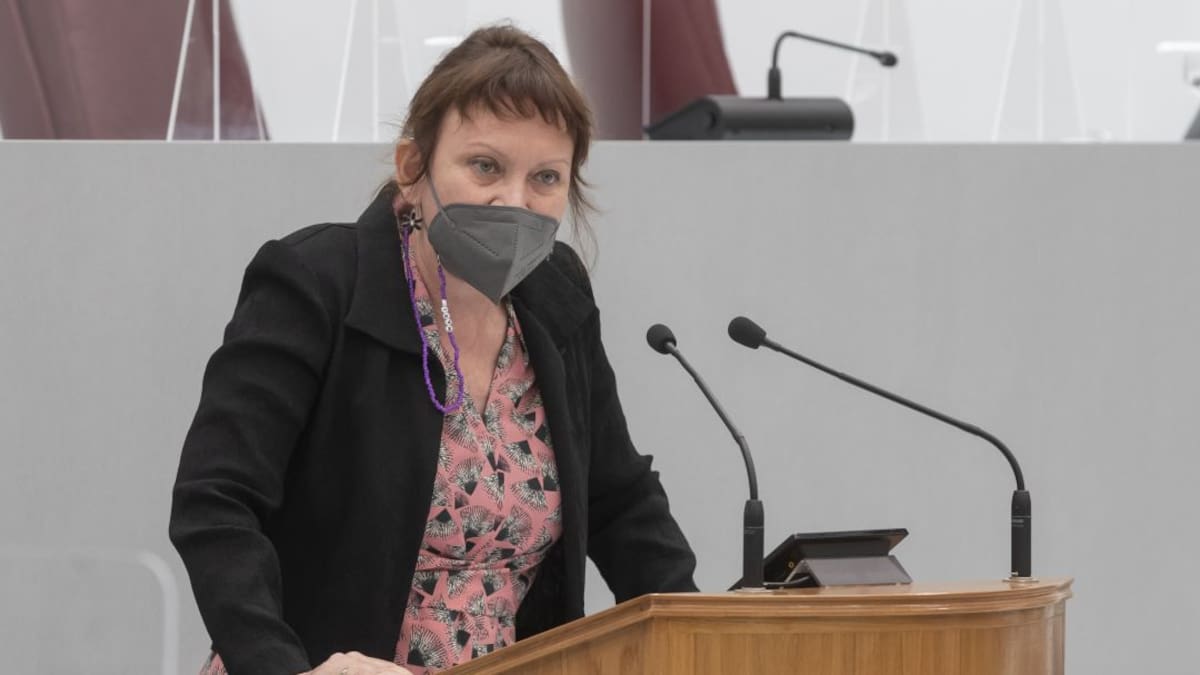 Podemos denuncia que la declaración institucional por el Orgullo LGTBI es un plagio