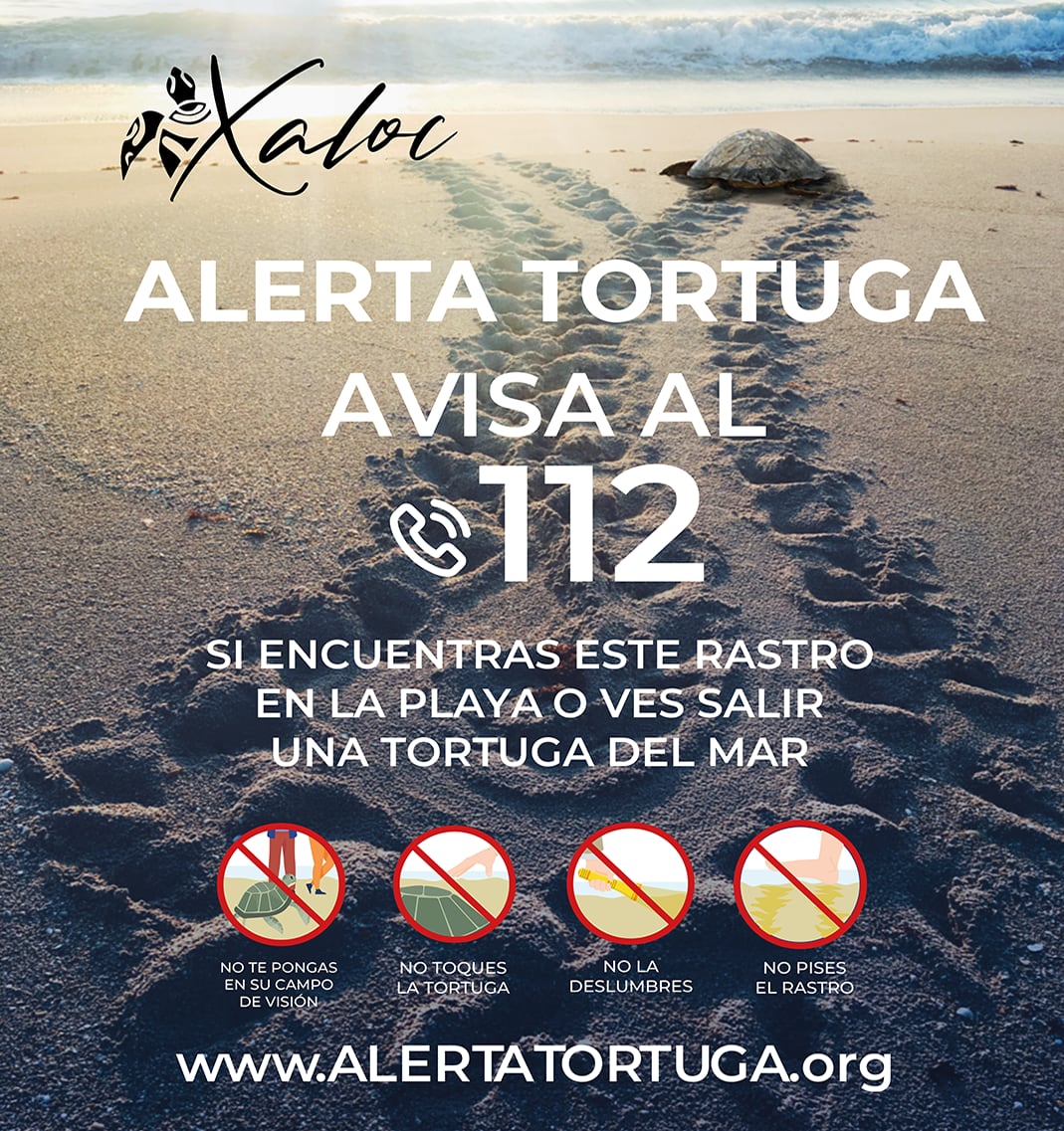 La ONG Xaloc arranca la campaña ¡Alerta Tortuga!