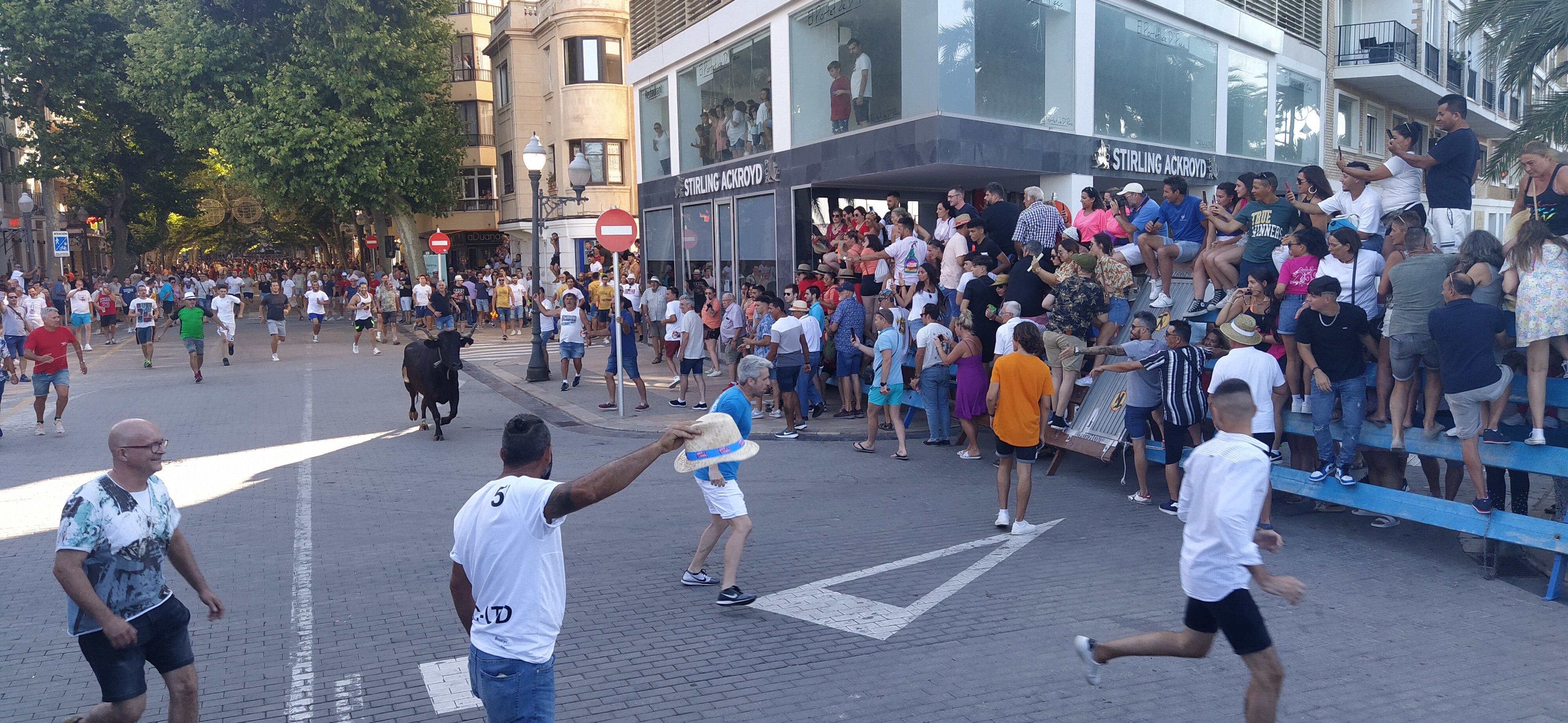 Res rezagada en la primera entrada de toros de Dénia.