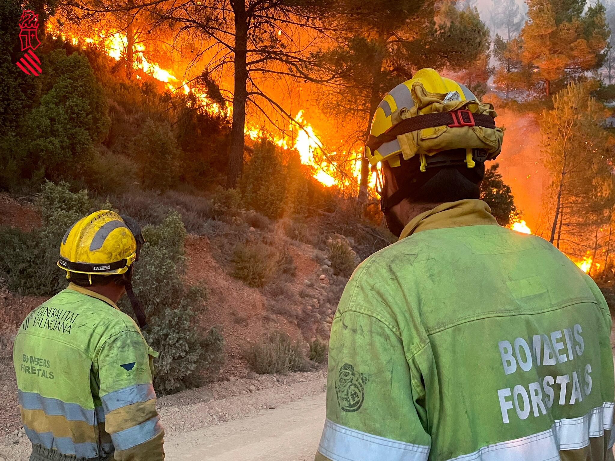 Incendio de Villanueva de Viver