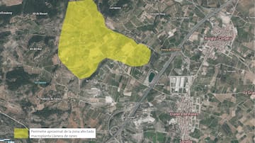 La oposición de la planta