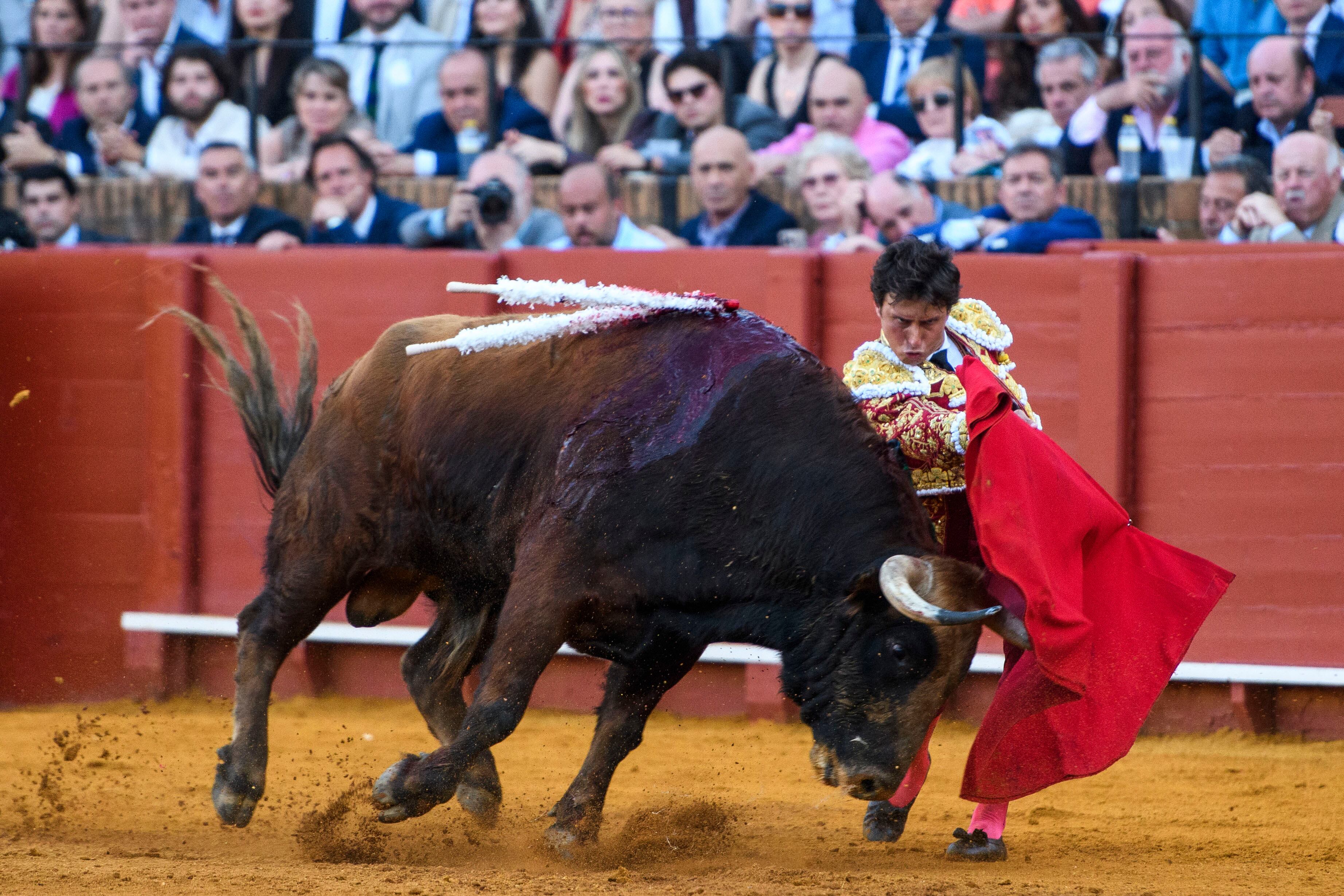 SEVILLA. 17/04/2026. - El diestro Roca Rey en su faena al segundo de su lote durante la corrida de séptima de abono que se ha celebrado este viernes en la Plaza de Toros de La Maestranza, en Sevilla. EFE/ Raúl Caro.