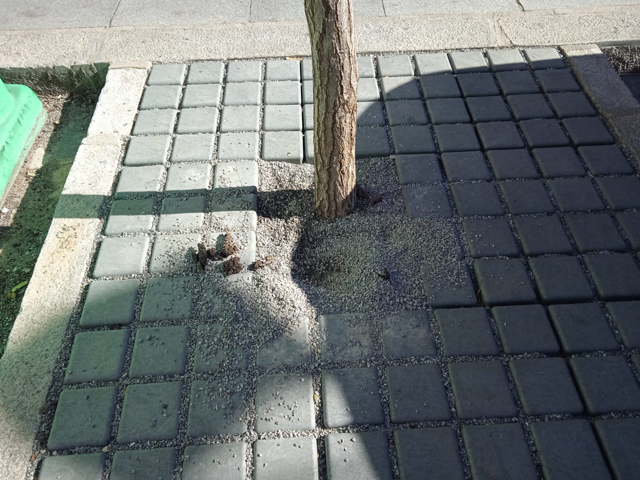 Estado de un alcorque