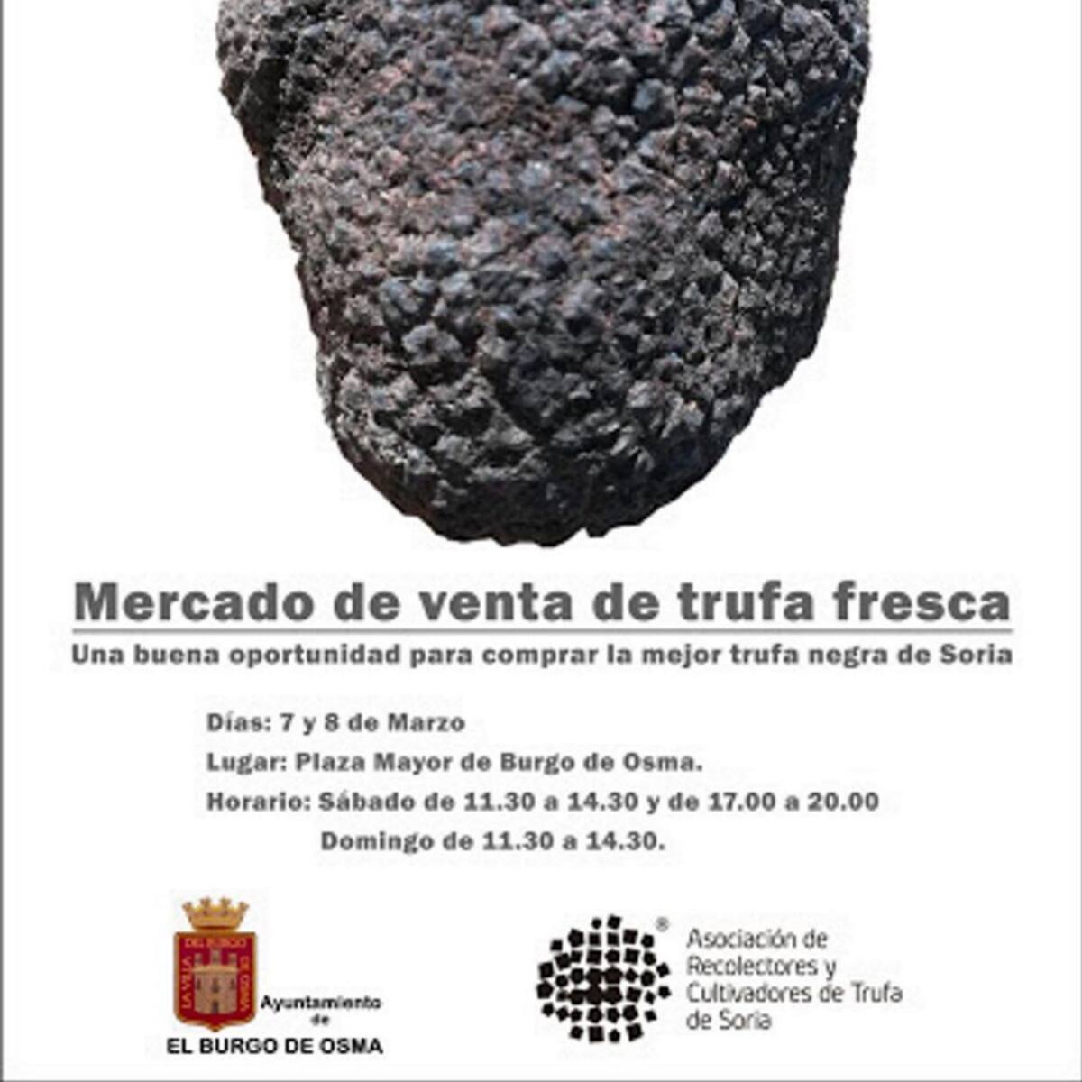 El Burgo de Osma acoge el fin de semana el primer mercado de trufa fresca 'Truffax 2020'