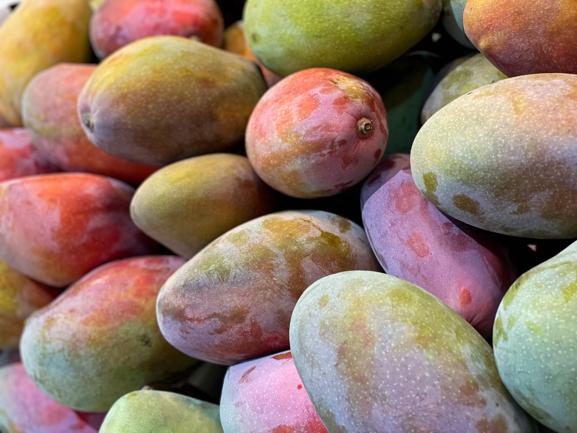 Mango malagueño.