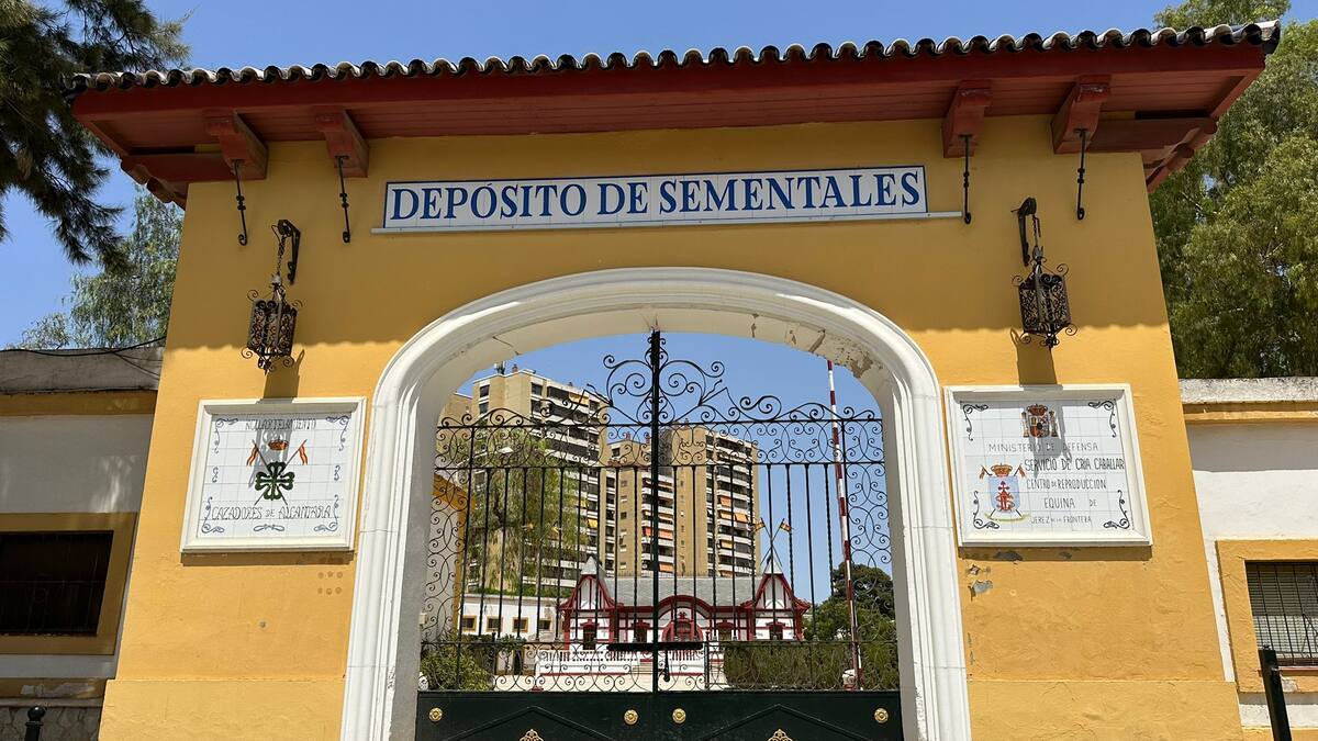 Entrevista con Rafael Olvera, gerente de la Real Escuela