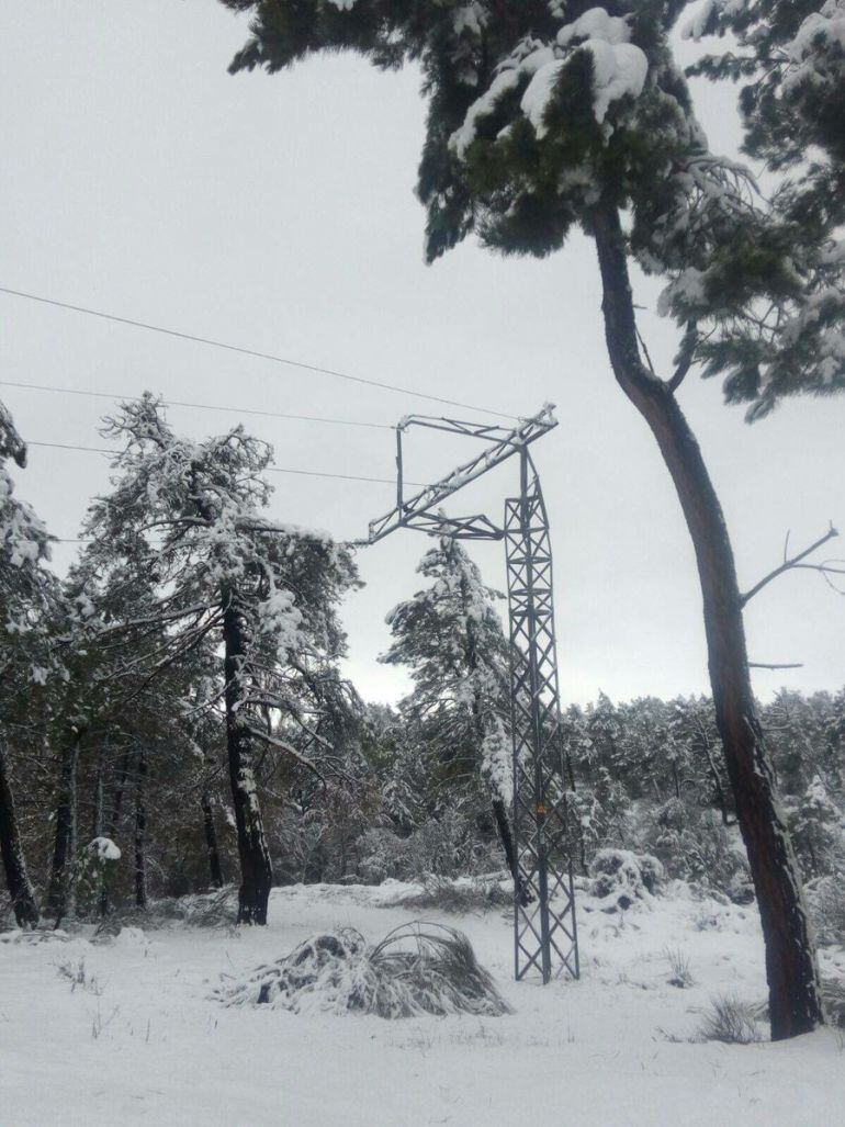 La caída de ramas sobre el tendido eléctrico ha dejado sin luz a Lastras de Cuéllar.