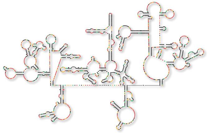 Tras años de investigación y avance, la enfermedad que hace sólo 15 años provocaba una muerte segura, hoy se puede llevar viviendo una vida normal. Ahora, un grupo de científicos ha descifrado el genoma del virus, con lo que se pueden esperar mejoras notables en la medicación futura.