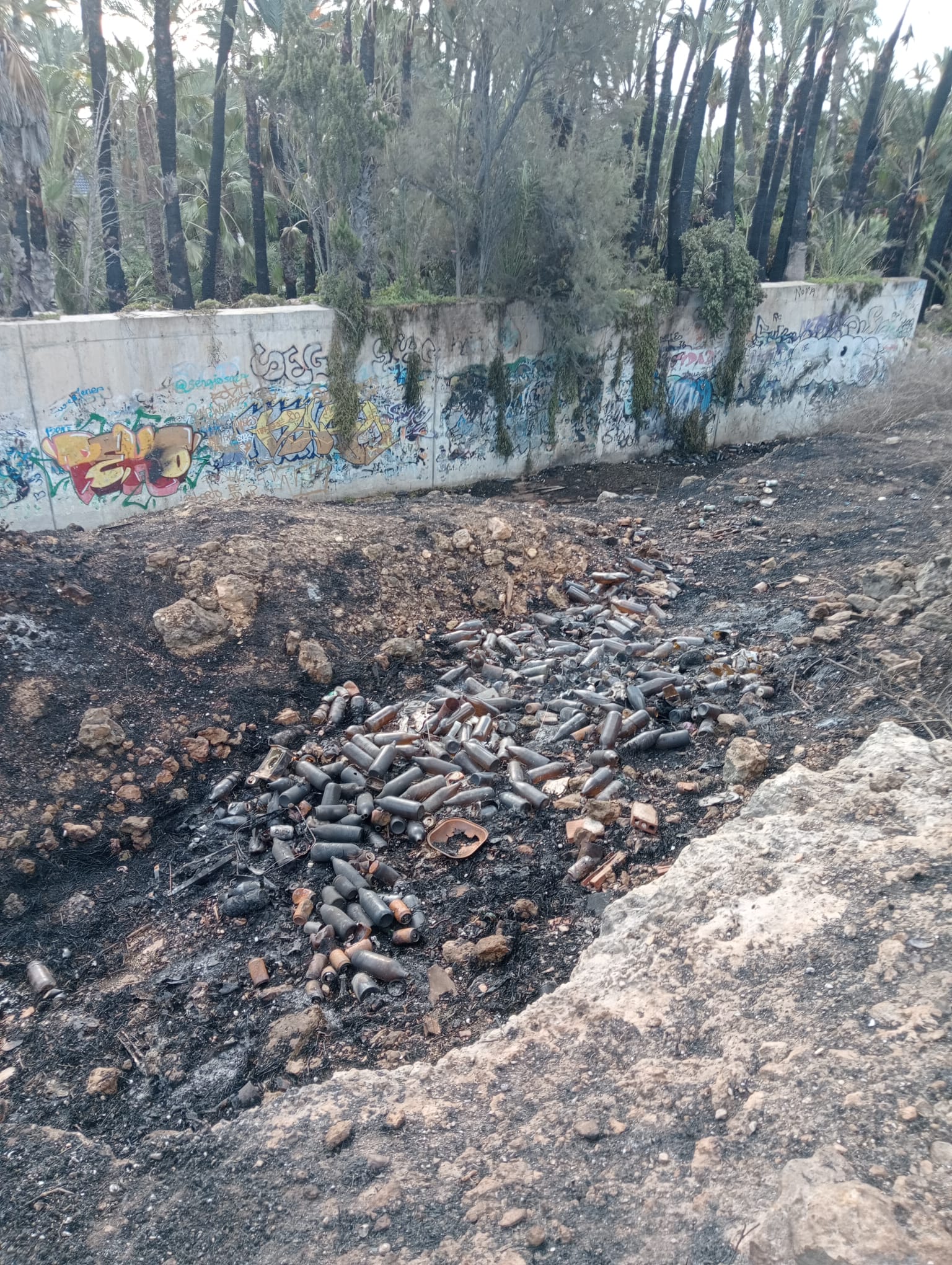 Restos de botellón en la zona incendiada junto al parque de El Palmeral