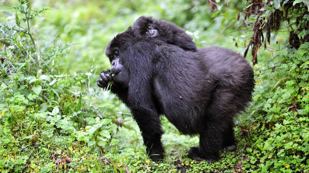 Alejandro Romero, Investigador del Departamento de Biotecnología de la UA, en Hoy por Hoy Alicante
