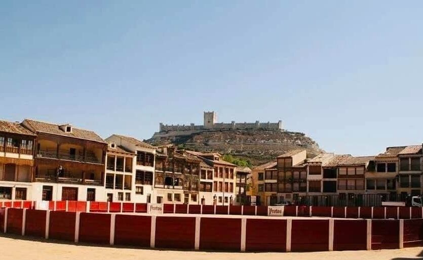 La empalizada del Coso ya está instalada