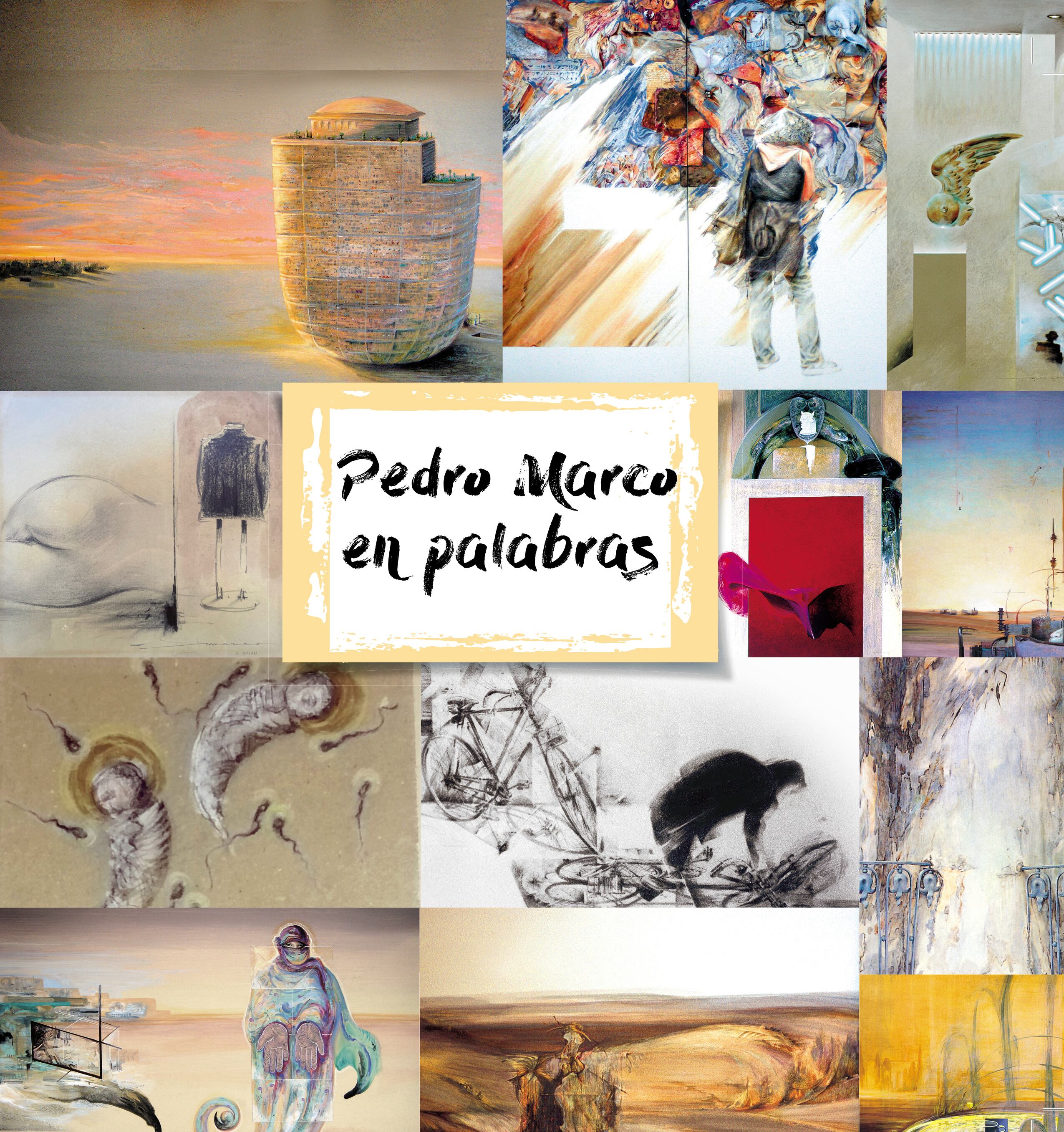 Pedro Marco en palabras