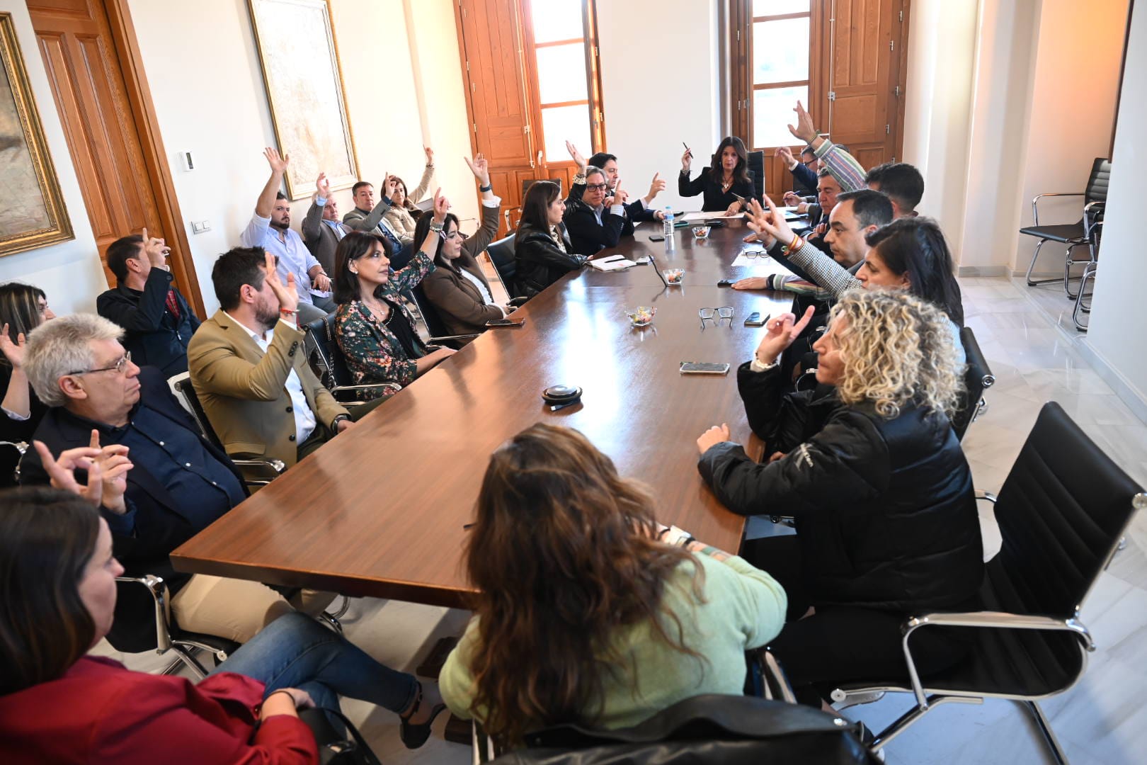 Pleno extraordinario celebrado hoy.