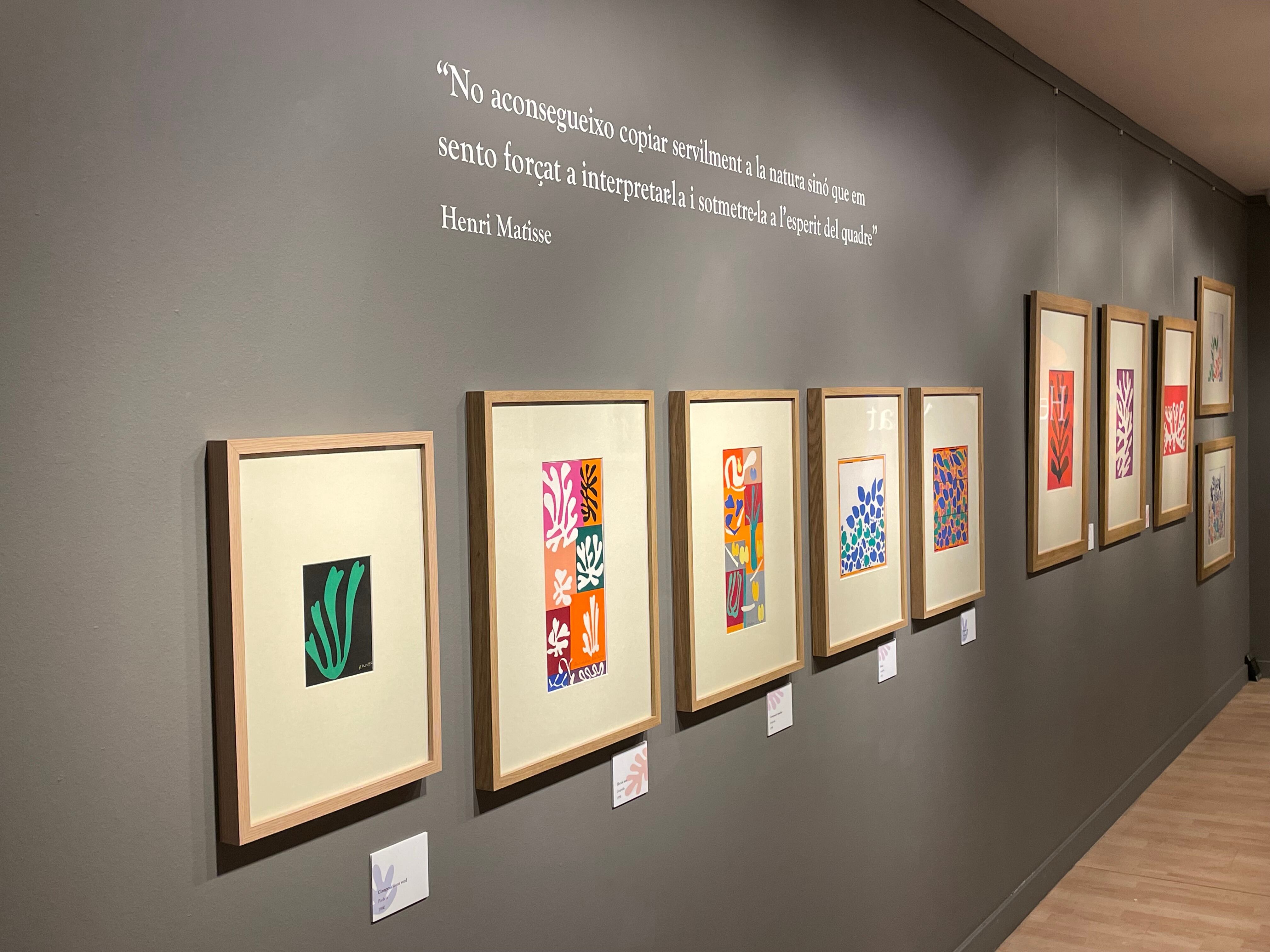 Un detall de l'exposició de Matisse al CAEE.