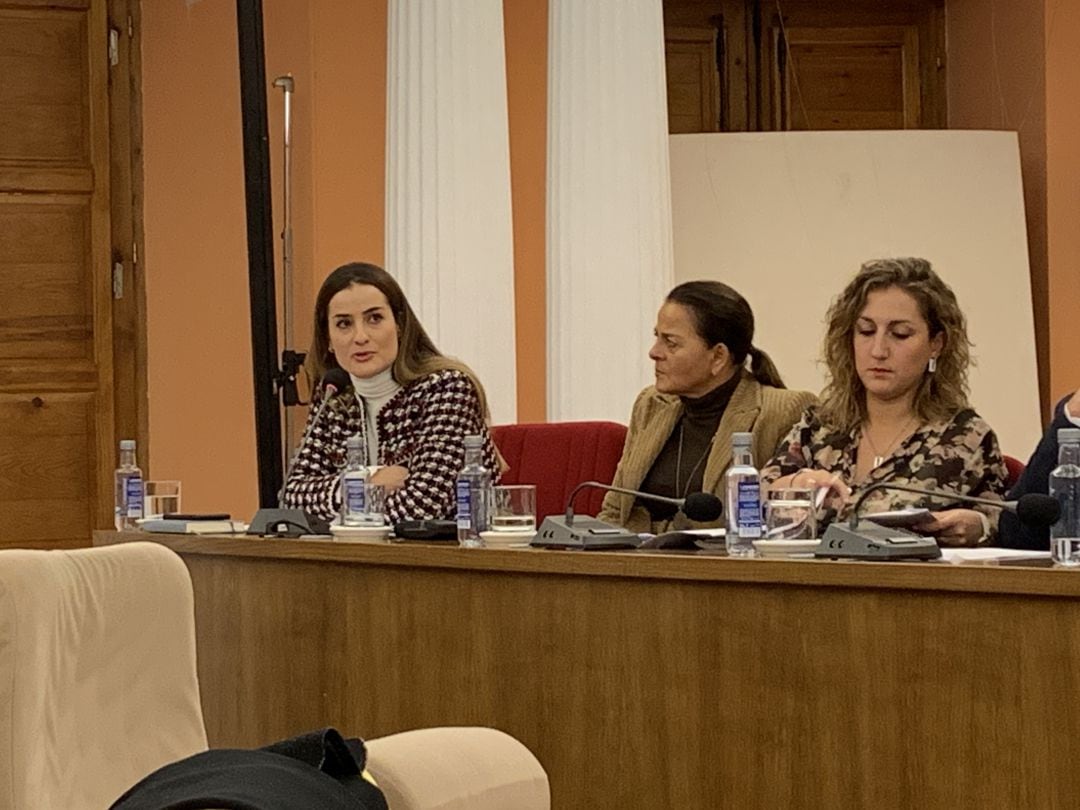 Cristina Blanco en una de sus intervenciones en el salón de plenos del Ayuntamiento medinense