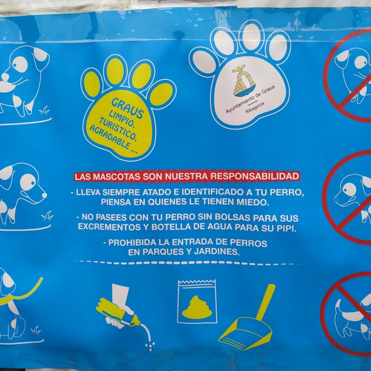 El Ayuntamiento inicia una campaña de control de población de palomas