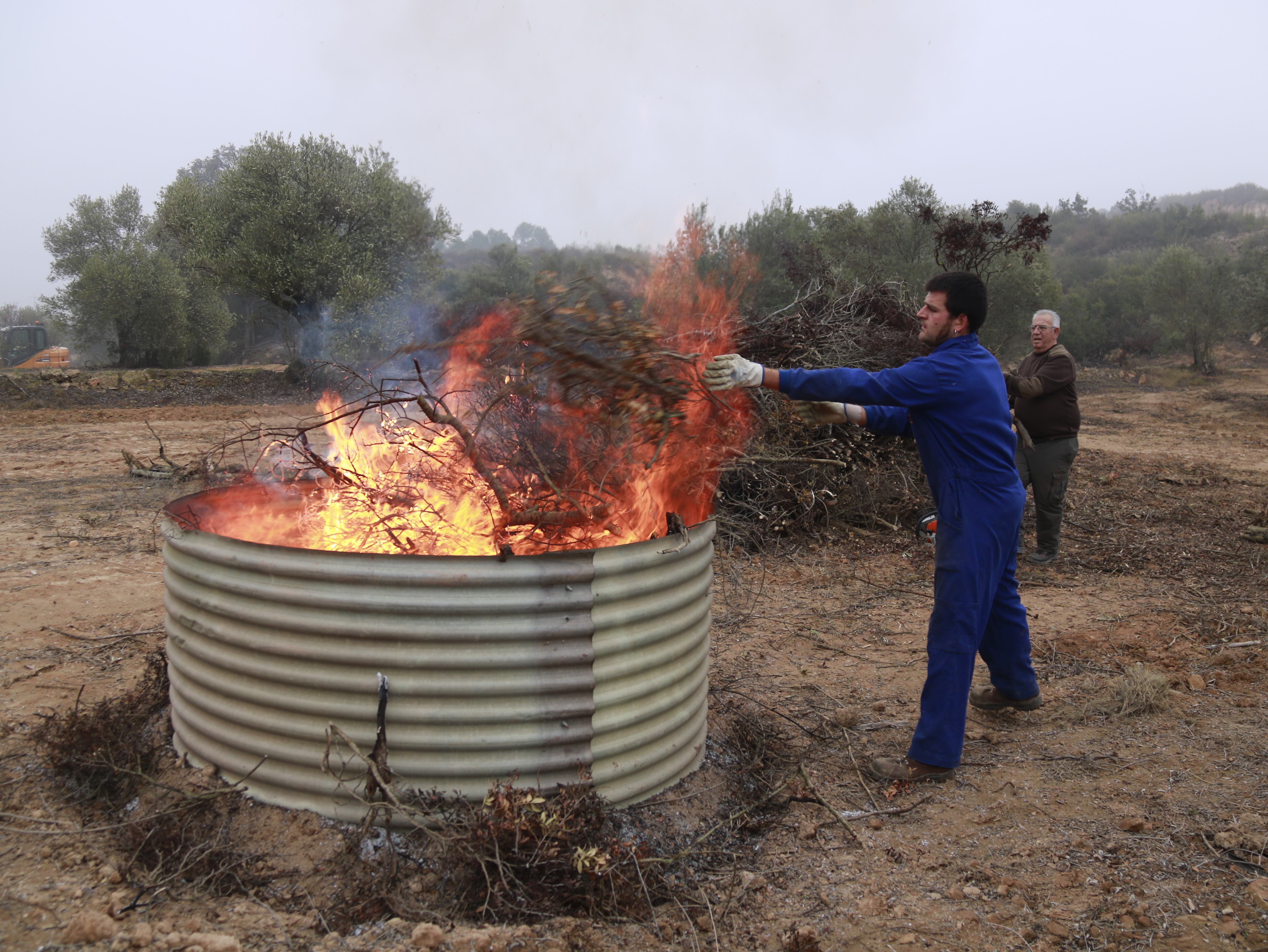 Pla general d'un pagès tirant restes de poda d'una finca a un forn per fer biocarbó, el 24 de desembre de 2021. Foto: ACN.