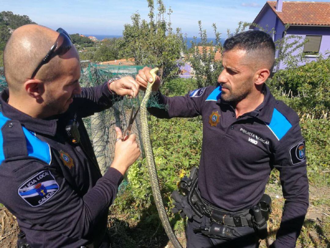 Agentes de la Policía con una serpiente en una imagen de archivo