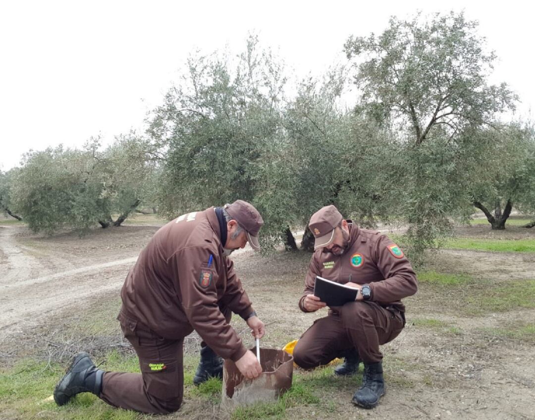 Dos miembros de la Guardería Rural de Villacarrillo, proceden a tomar datos sobre el pozo que han localizado