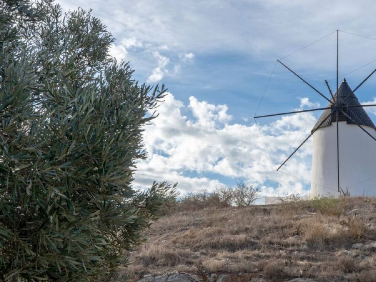 Rehabilitación de todos los molinos municipales