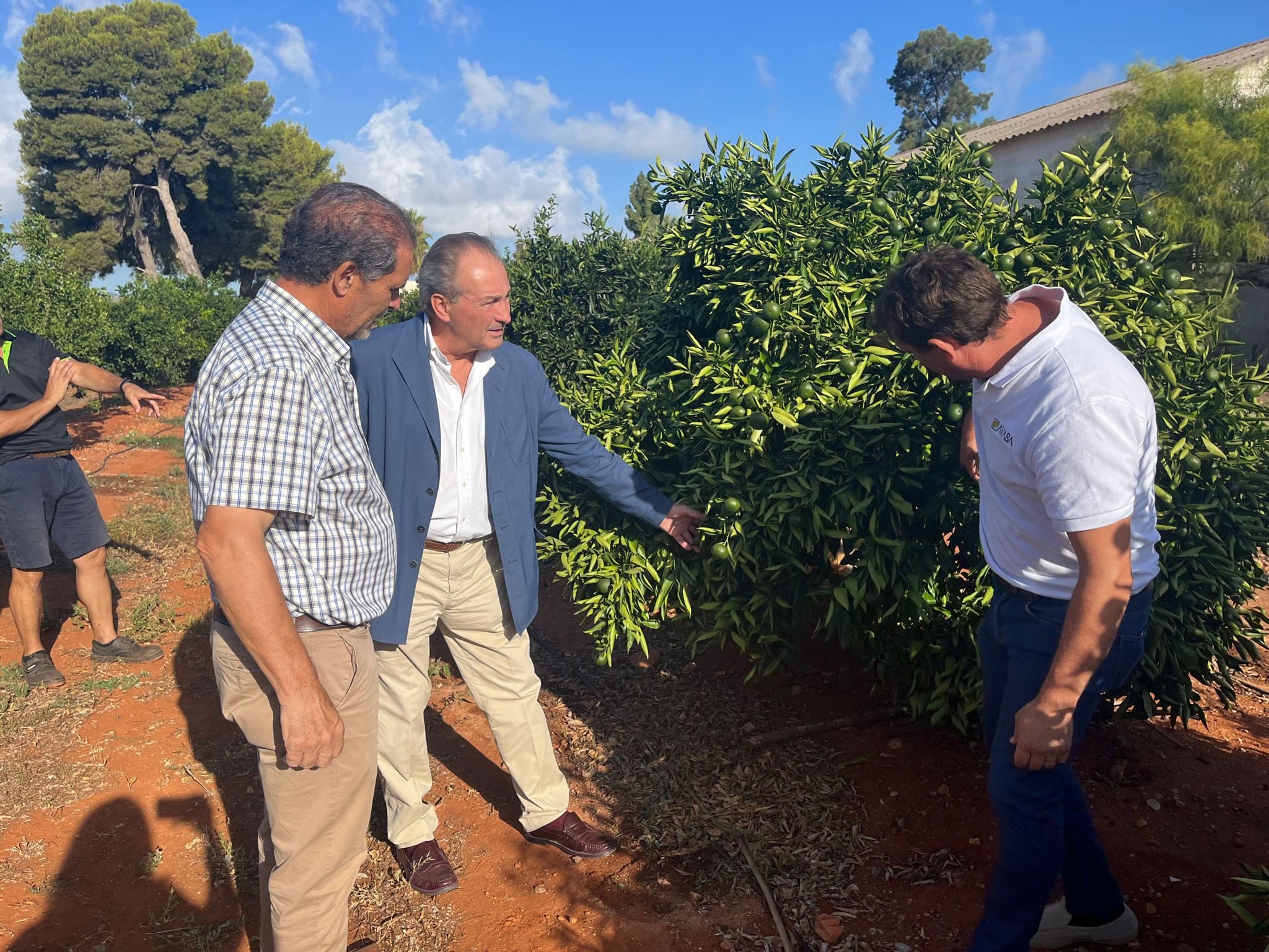 Visita de José Luis Aguirre, el 7 de agosto, a la Estació Experimental Agrària de Vila-real.