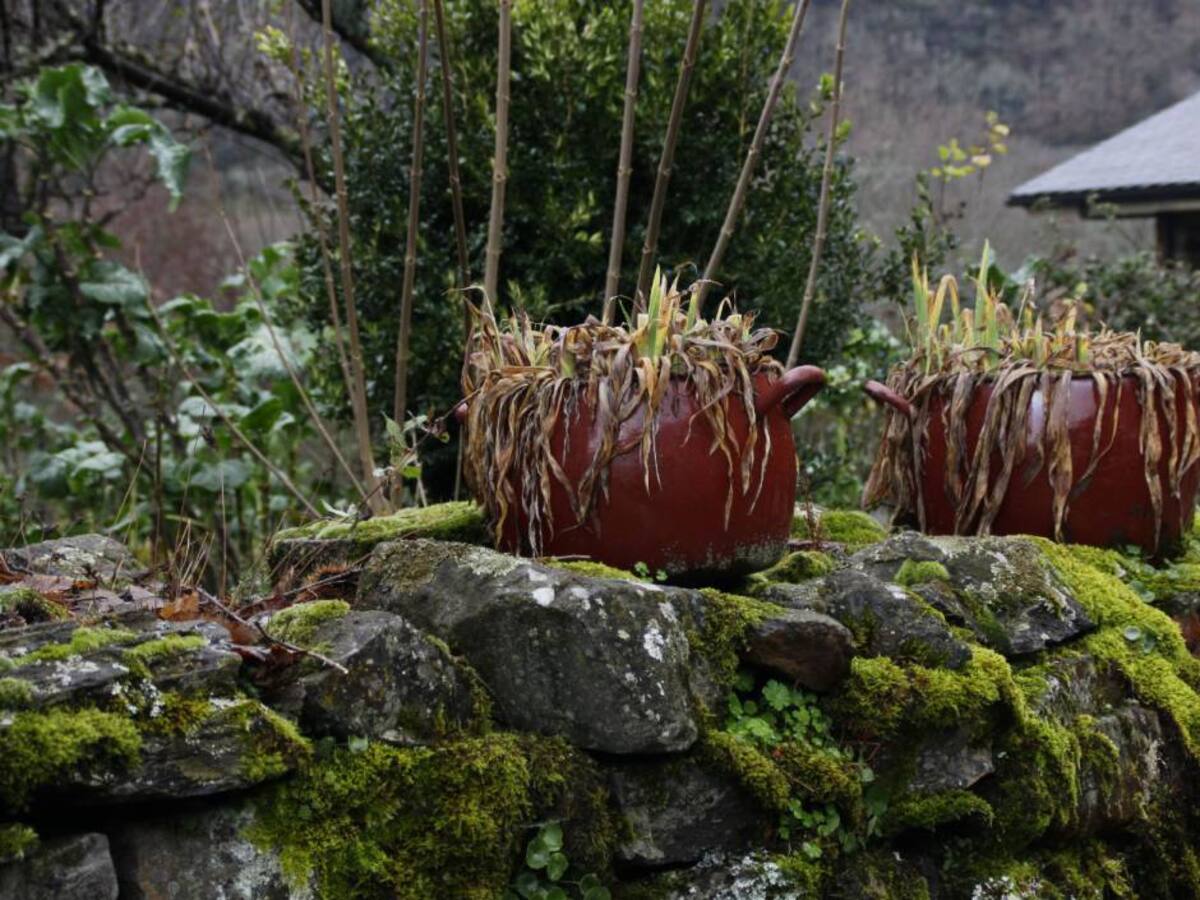 Reciclar, un arte antiguo