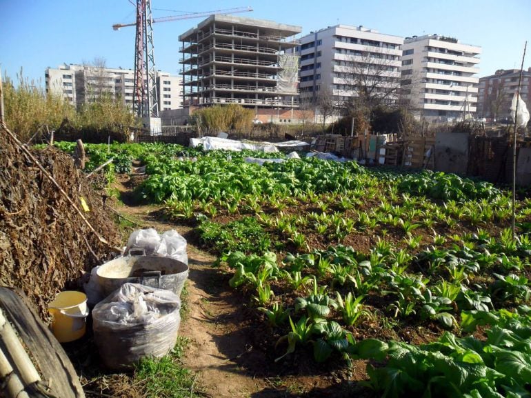 Imagen de un huerto urbano en otra ciudad