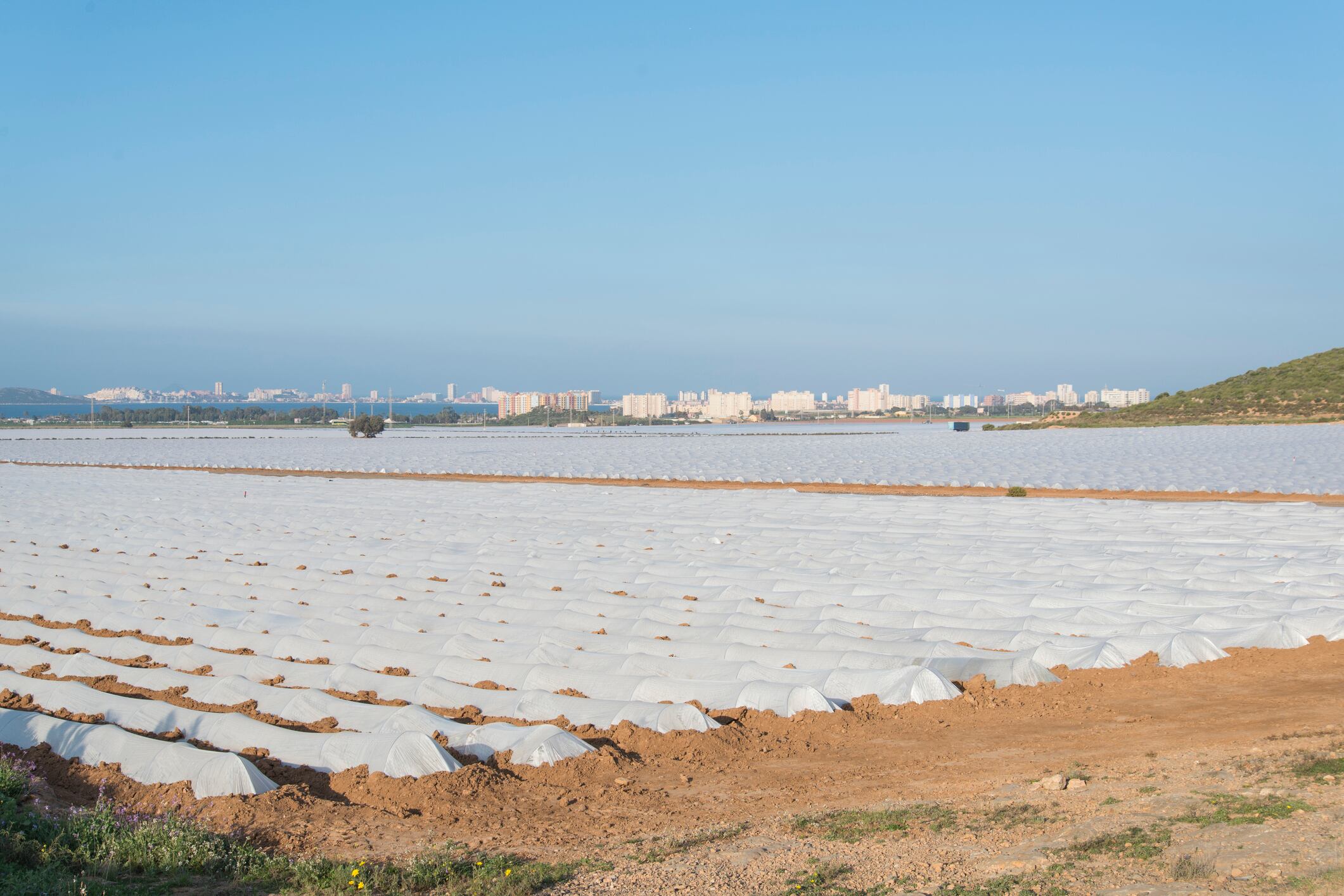 Explotación agrícola en las inmediaciones del Mar Menor