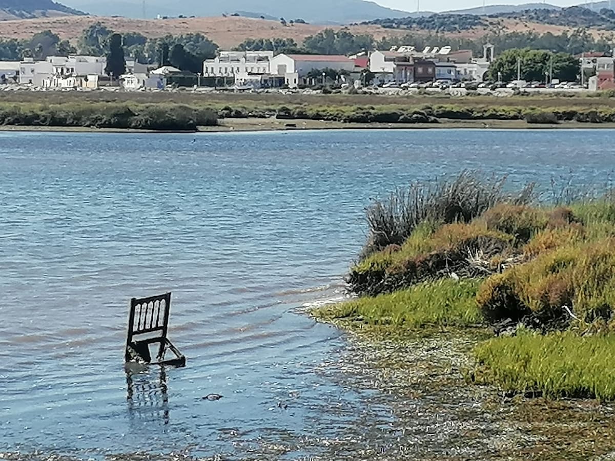 Salvemos el Rinconcillo lamenta que el aporte de arena se haga a mediados de julio