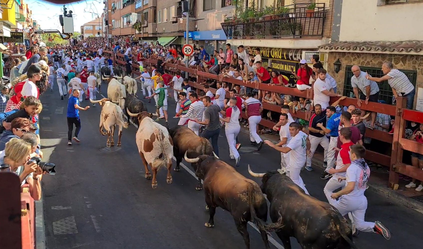 Segundo encierro de las Fiestas de San Sebastián de los Reyes