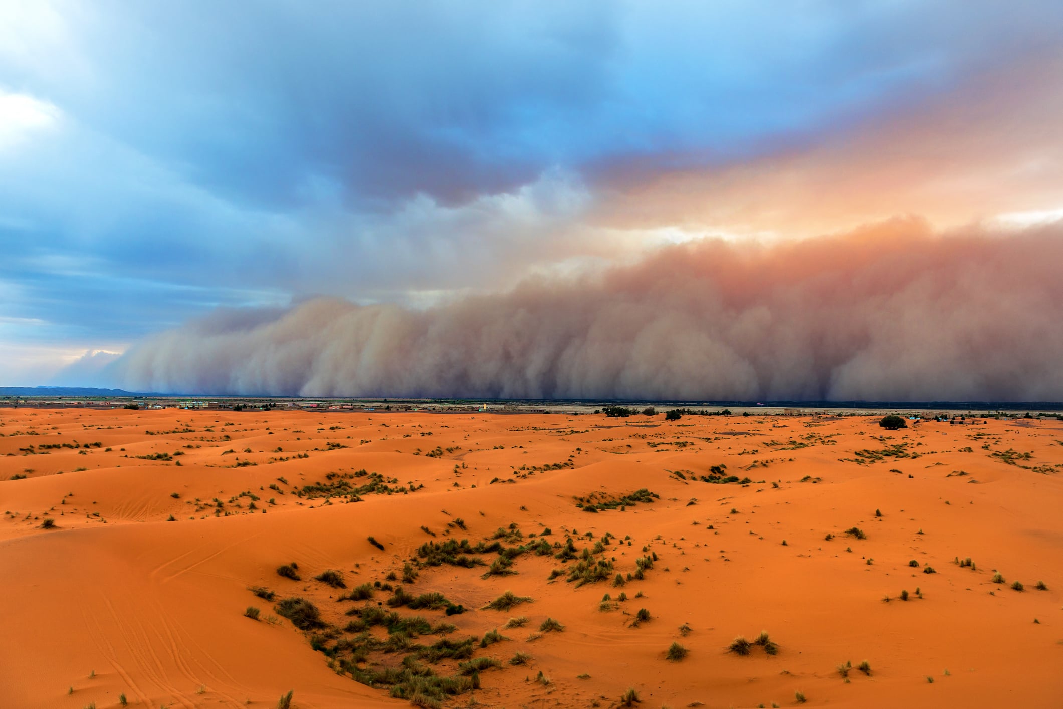 El Centro Europeo de Previsiones Meteorológicas a Plazo Medio (ECMWF) lleva tiempo indicando la probabilidad de que las lluvias intensas penetren en zonas desérticas del norte de África.