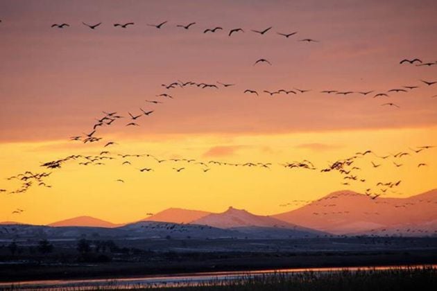 Laguna de Gallocanta