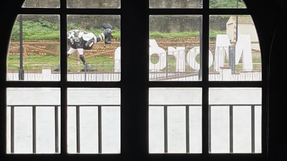 Grupo Ocio Creativo anuncia restauración de los gallos de la Cilla de la Victoria