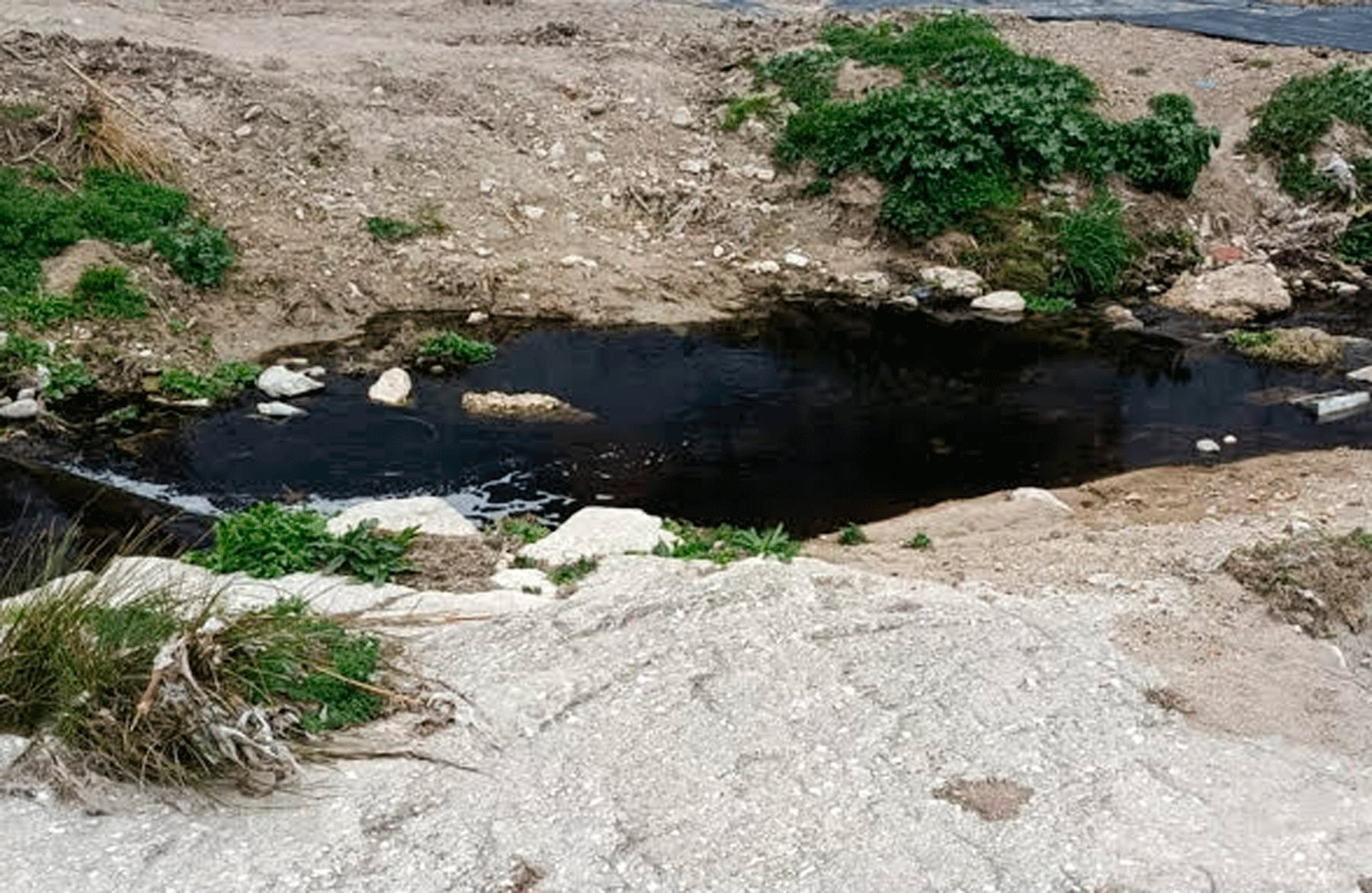 Otra imagen aportada por La Carrasca del río contaminado