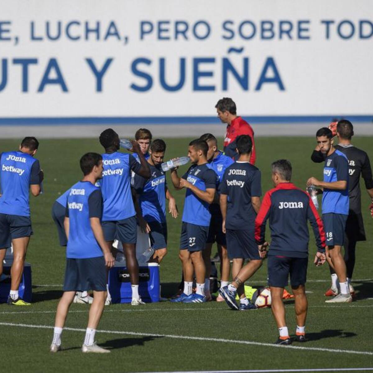 Pellegrino en cuadro