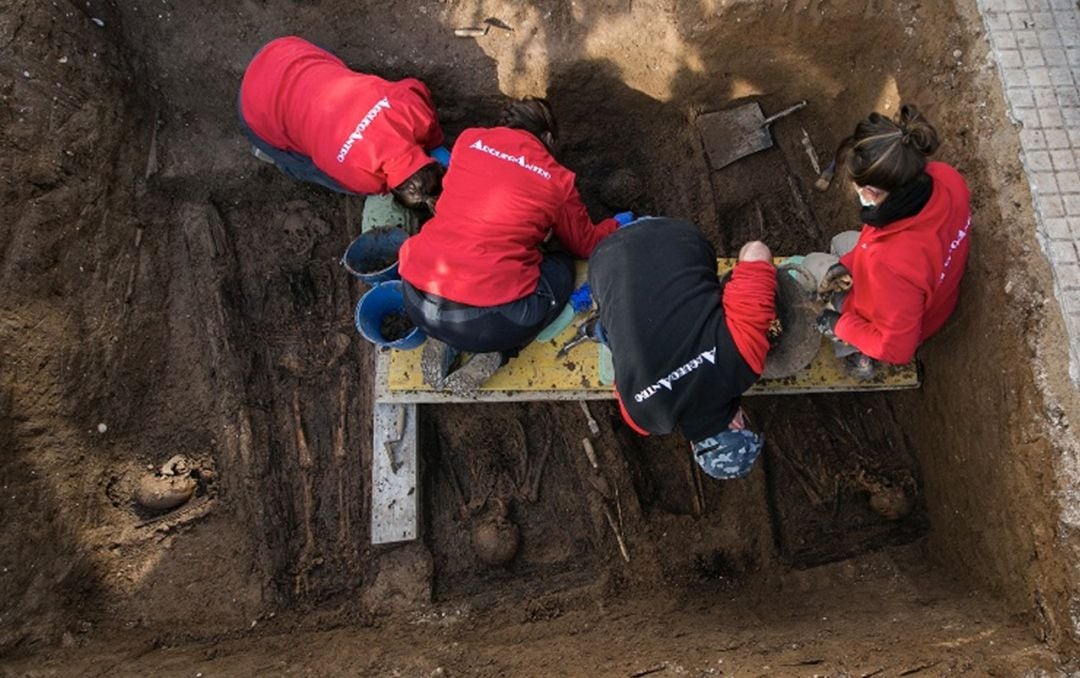 Primeros restos humanos en la fosa del cementerio de Gandia 