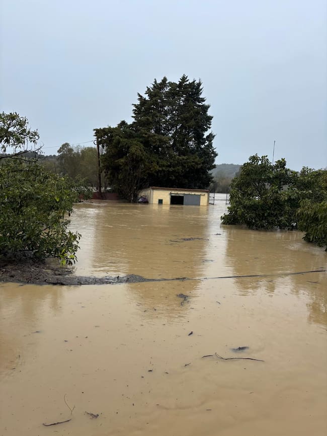 Efectos del temporal en Jimena.