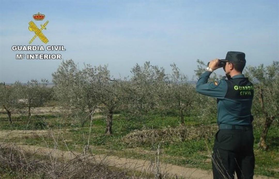 Los equipos Roca de la Guardia Civil actúan ante los robos en el campo malagueño