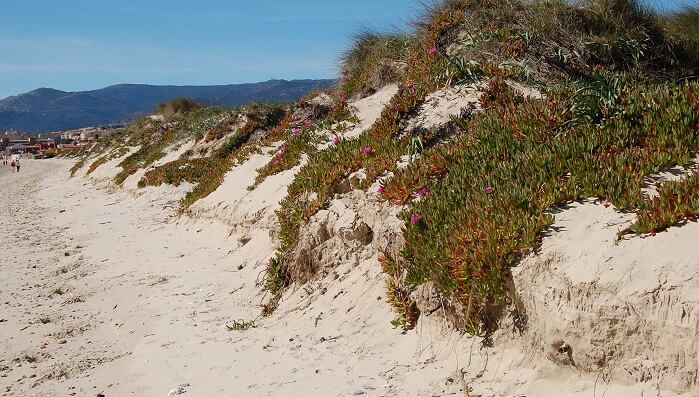 Imagen de los trabajos
