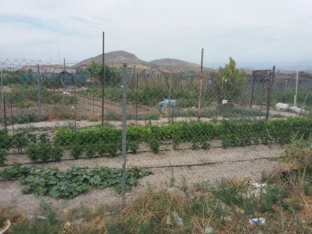 Otros de los Huertos del Paraje el Canónigo