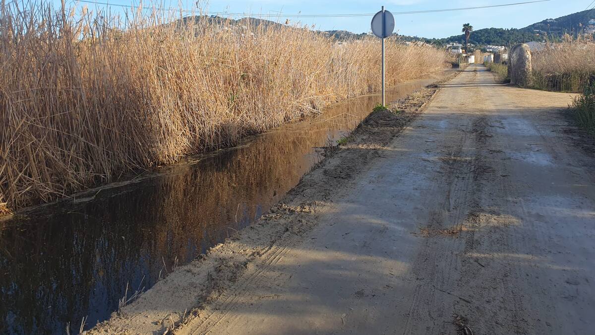 El estudio para la recuperación hidrológica de ses Feixes sigue pendiente un lustro despúes