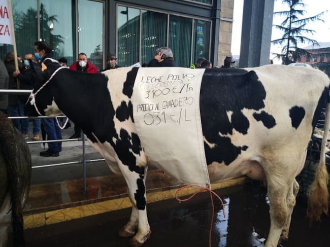 Manifestación ganadera